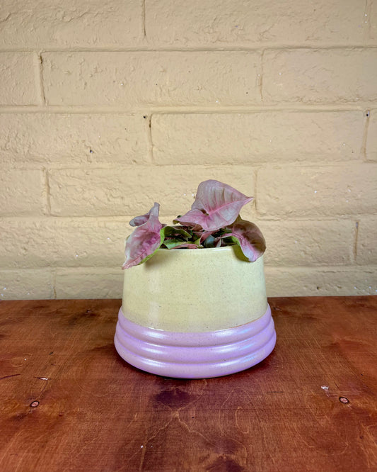 Medium Mod Planter