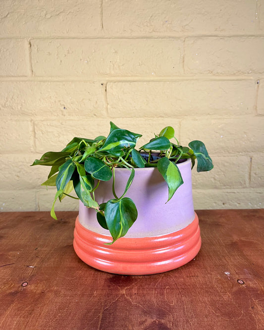 Large Mod Planter